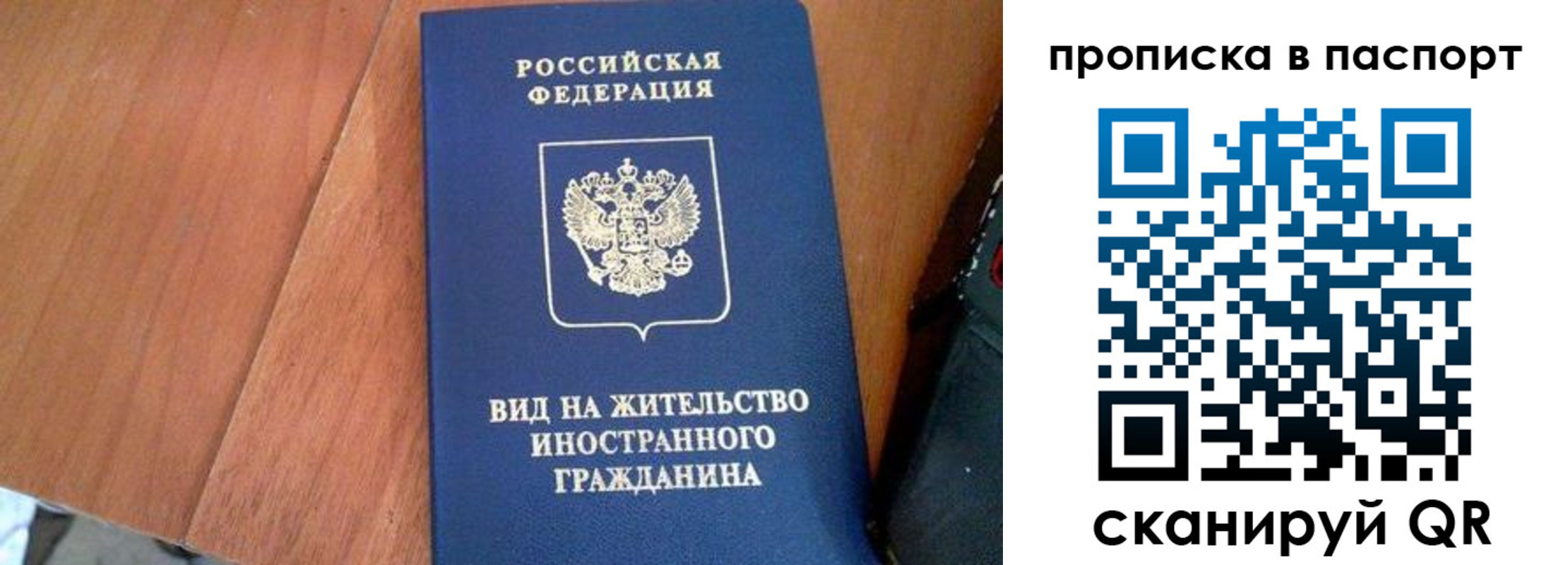 временная регистрация поиск в Выборге